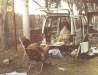 dicke2